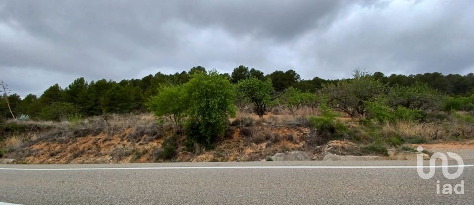 Tierra agrícola de 12.700 m² en La Bisbal del Penedès (43717)