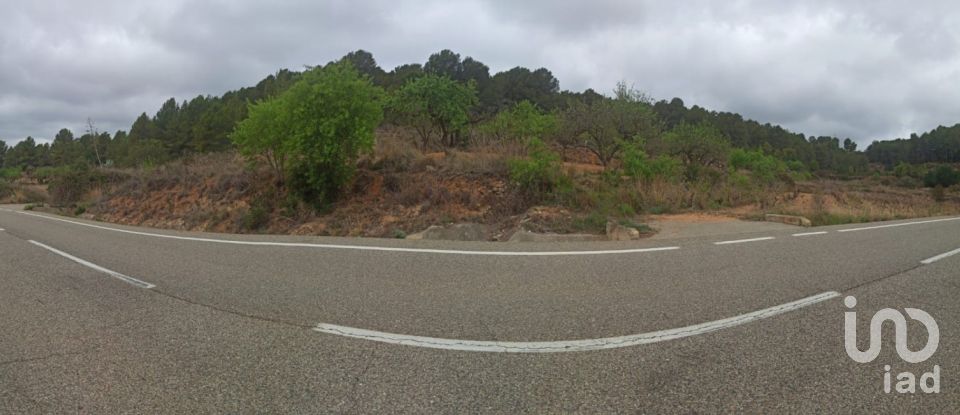 Tierra agrícola de 12.700 m² en La Bisbal del Penedès (43717)