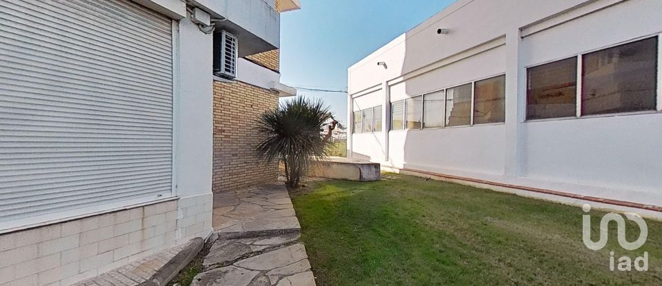 Apartment 0 bedrooms of 30 m² in La Pineda (43481)