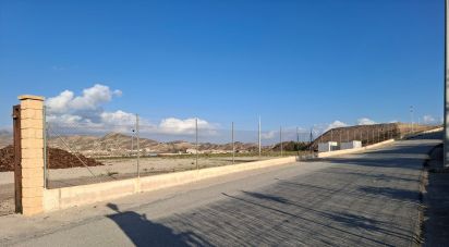 Terra de 7.400 m² a Lorca (30800)