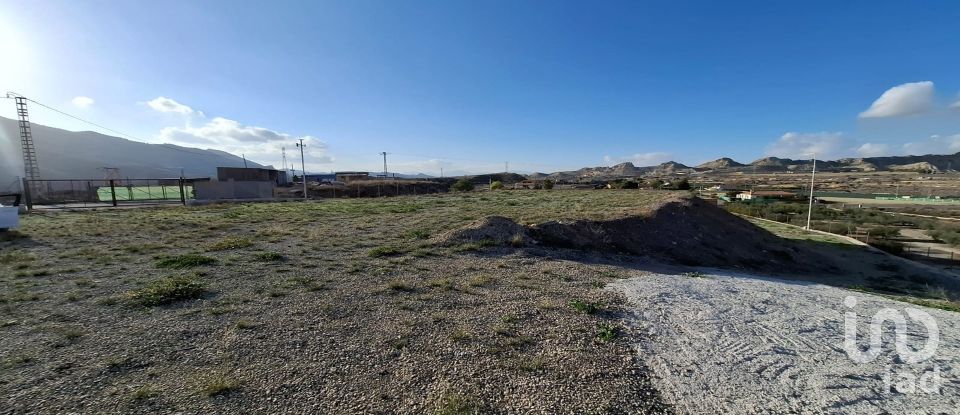 Terra de 7.400 m² a Lorca (30800)