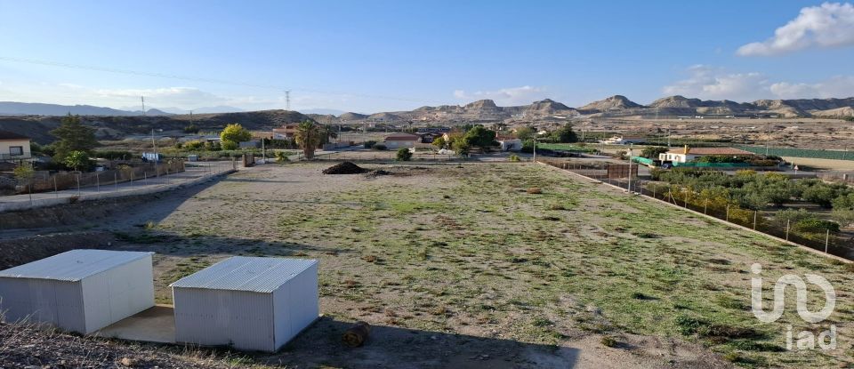 Terra de 7.400 m² a Lorca (30800)