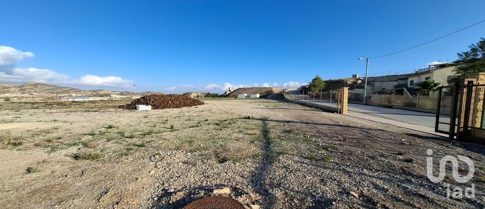 Terra de 7.400 m² a Lorca (30800)