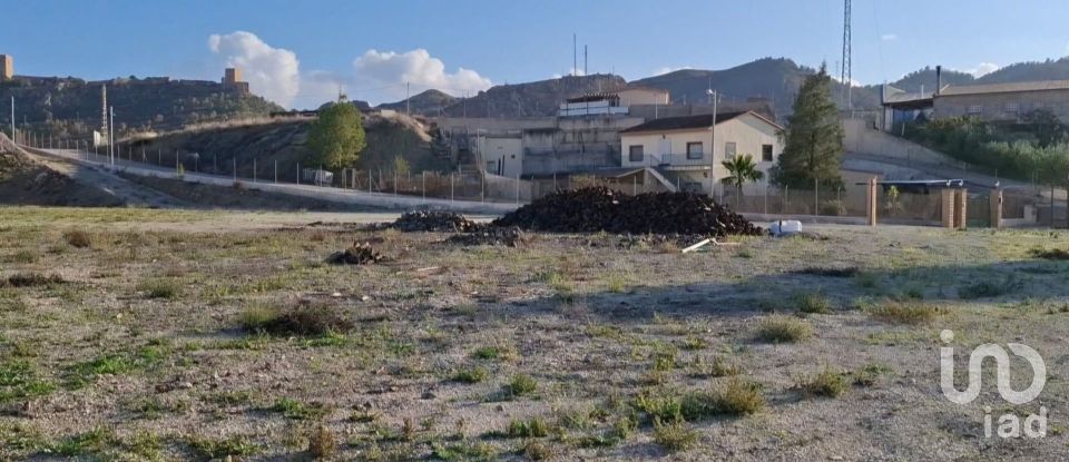 Terra de 7.400 m² a Lorca (30800)