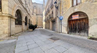 Edificio de 500 m² en Ciudad Rodrigo (37500)