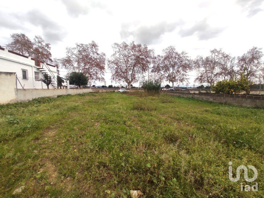 Terrain de 563 m² à Banyeres del Penedès (43711)