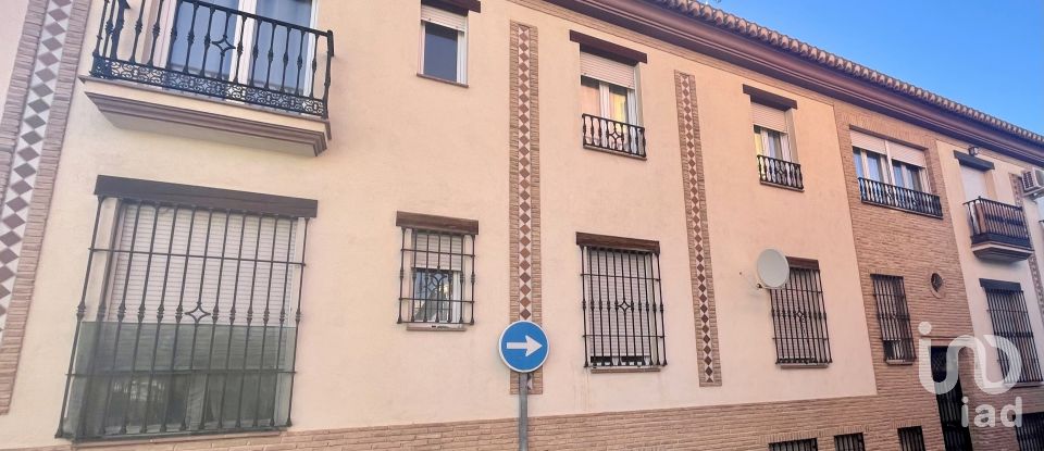 Pis 1 habitació de 51 m² a La Zubia (18140)