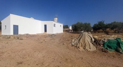 Terrain de 49 000 m² à Arcos de la Frontera (11630)