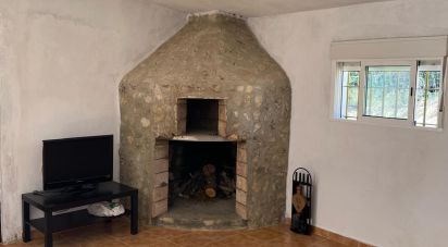 Terrain de 49 000 m² à Arcos de la Frontera (11630)