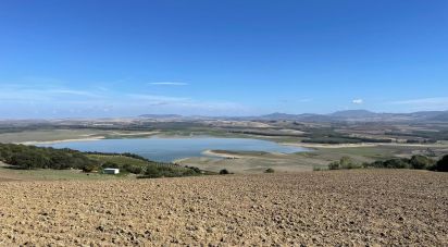 Terrain de 49 000 m² à Arcos de la Frontera (11630)