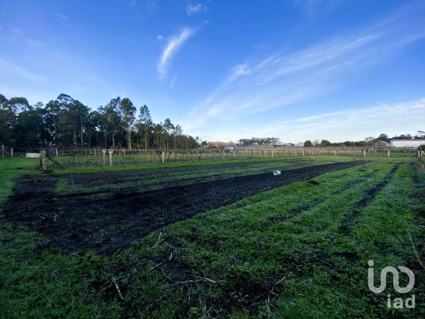 Terra de 2.725 m² a Vilanova de Arousa (36620)