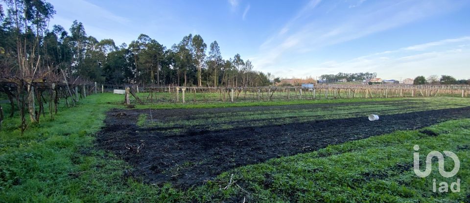 Terra de 2.725 m² a Vilanova de Arousa (36620)