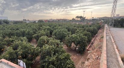 Tierra agrícola de 5.165 m² en Vila-Real/Villarreal (12540)