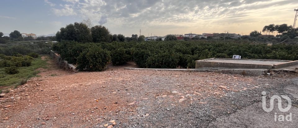 Terreny agrícola de 5.165 m² a Vila-Real/Villarreal (12540)