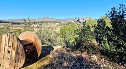 Terrain de 7 600 m² à La Bisbal del Penedès (43717)