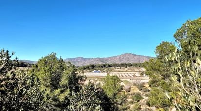 Terrain de 7 600 m² à La Bisbal del Penedès (43717)