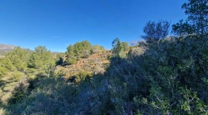 Terrain de 7 600 m² à La Bisbal del Penedès (43717)