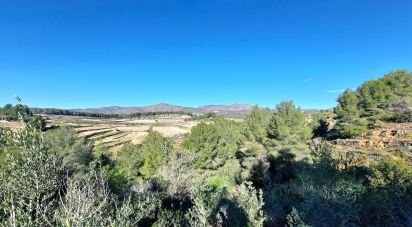 Terrain de 7 600 m² à La Bisbal del Penedès (43717)