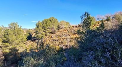 Terrain de 7 600 m² à La Bisbal del Penedès (43717)