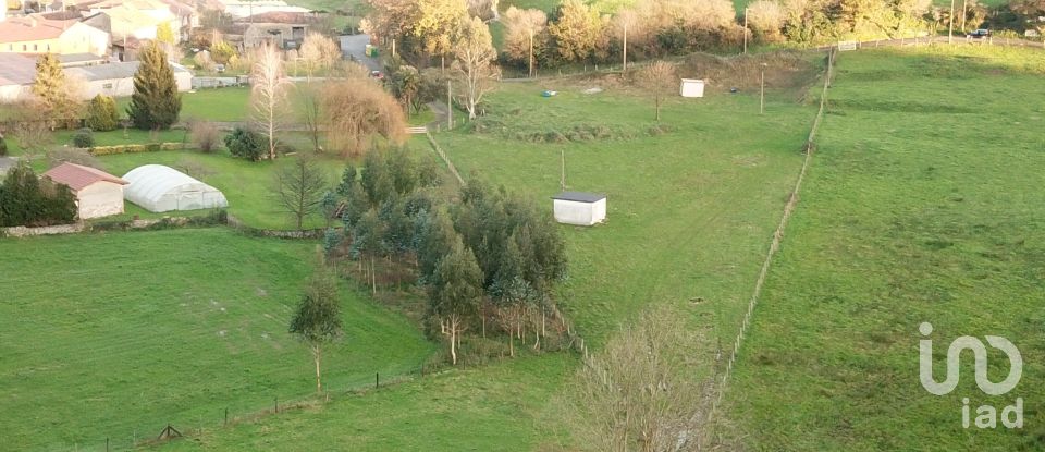 Terra de 6.134 m² a La Busta (39590)