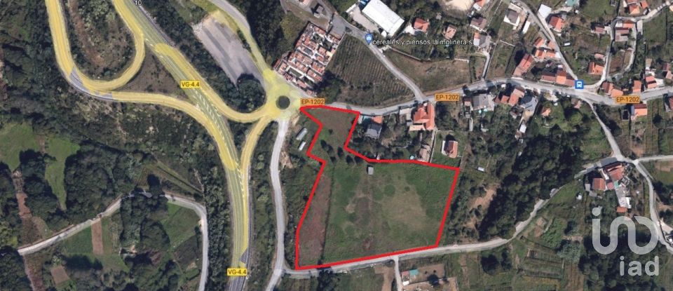 Terra de 18.944 m² a O Campo (36914)