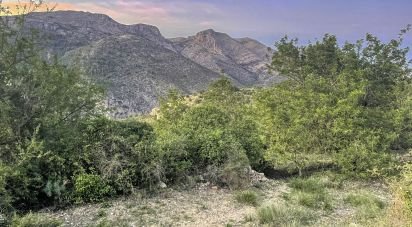 Terra de 1.917 m² a La Vall de Laguar (03791)