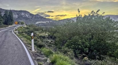 Terra de 1.917 m² a La Vall de Laguar (03791)