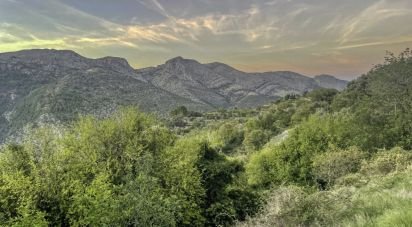 Terra de 1.917 m² a La Vall de Laguar (03791)