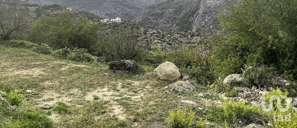 Terra de 1.917 m² a La Vall de Laguar (03791)