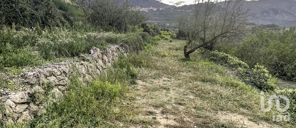 Terra de 1.917 m² a La Vall de Laguar (03791)