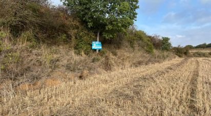 Terreno de 7.350 m² en Vilanova del Vallès (08410)