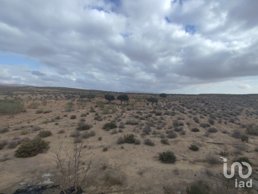 Agricultural land of 34,318 m² in Saladar y Leche (04114)