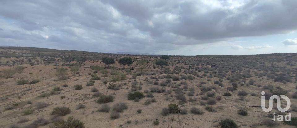 Agricultural land of 34,318 m² in Saladar y Leche (04114)