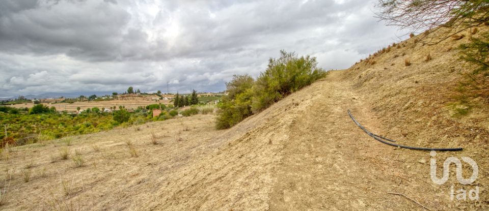 Terreno de 14.637 m² en Ampliacion Cartama (29570)