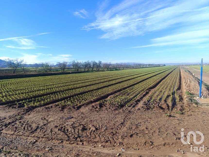 Terreno de 10.205 m² en La Aljorra (30390)