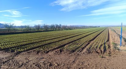 Terreno de 10.205 m² en La Aljorra (30390)