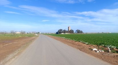 Terreno de 10.205 m² en La Aljorra (30390)