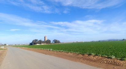 Terreno de 10.205 m² en La Aljorra (30390)