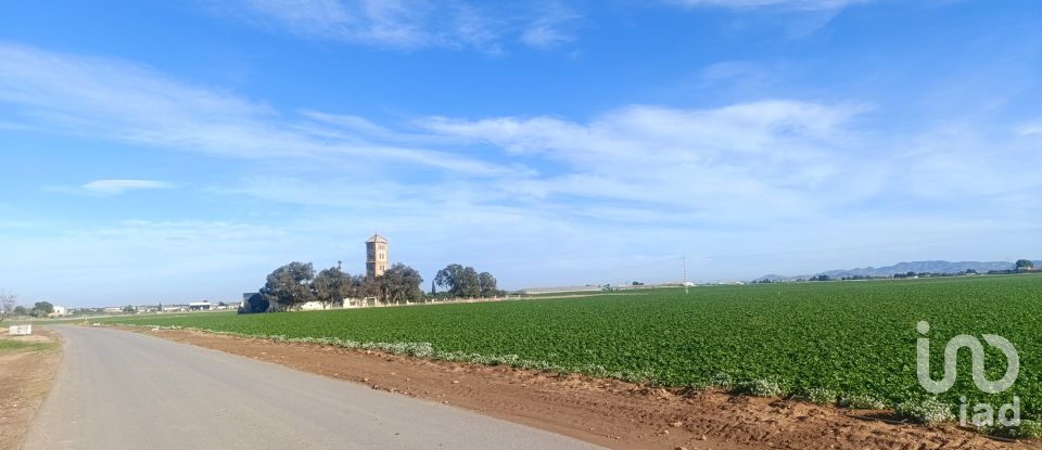 Terreno de 10.205 m² en La Aljorra (30390)