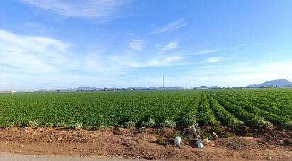 Terreno de 10.205 m² en La Aljorra (30390)