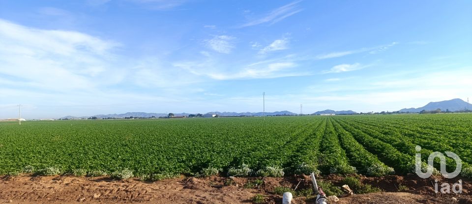 Terreno de 10.205 m² en La Aljorra (30390)