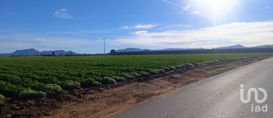 Terreno de 10.205 m² en La Aljorra (30390)