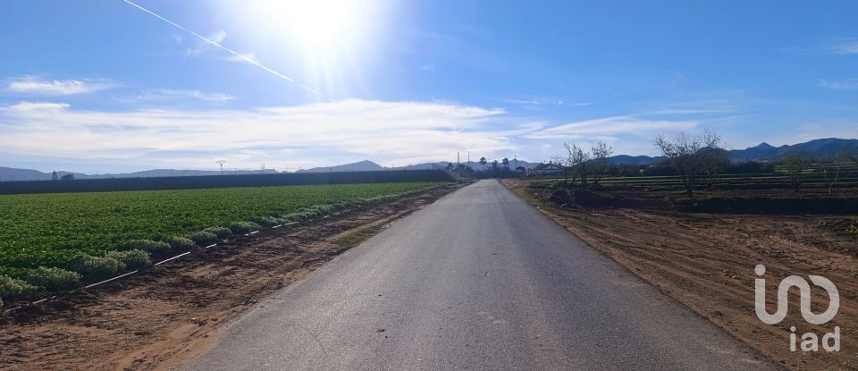 Terreno de 10.205 m² en La Aljorra (30390)