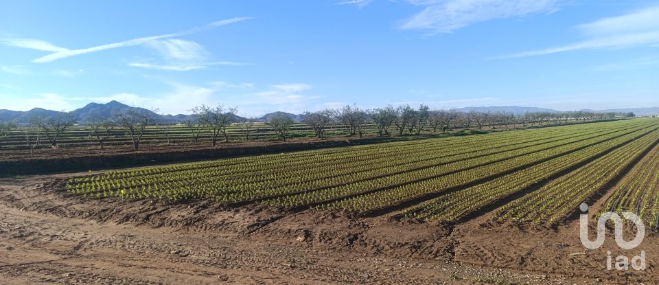 Terreno de 10.205 m² en La Aljorra (30390)