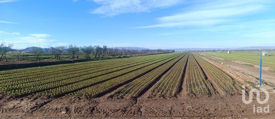 Terreno de 10.205 m² en La Aljorra (30390)