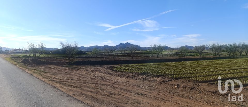 Terreno de 10.205 m² en La Aljorra (30390)