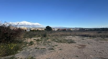 Terreno de 9.234 m² en Mont-Roig del Camp (43300)