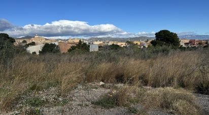 Terreno de 9.234 m² en Mont-Roig del Camp (43300)