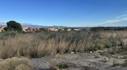 Terreno de 9.234 m² en Mont-Roig del Camp (43300)