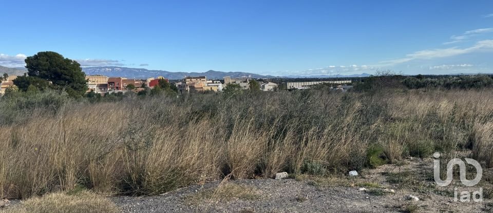 Terreno de 9.234 m² en Mont-Roig del Camp (43300)